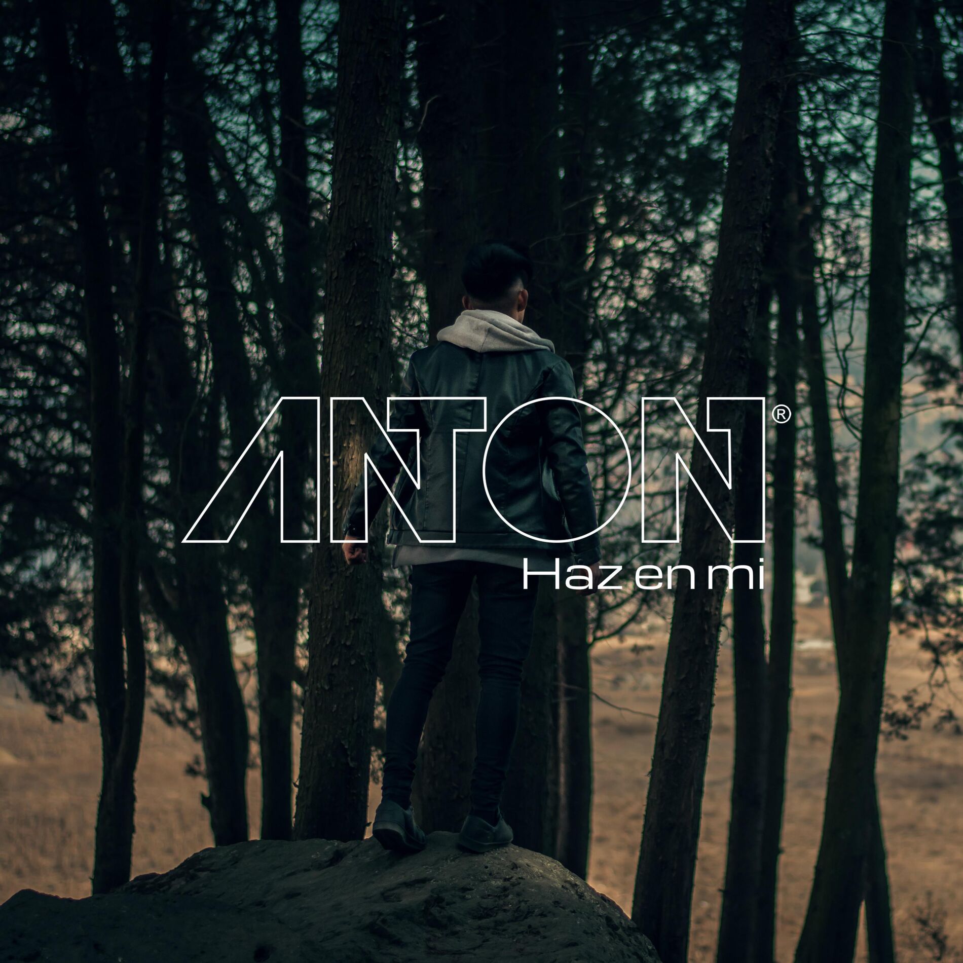 Album cover of Haz En Mí