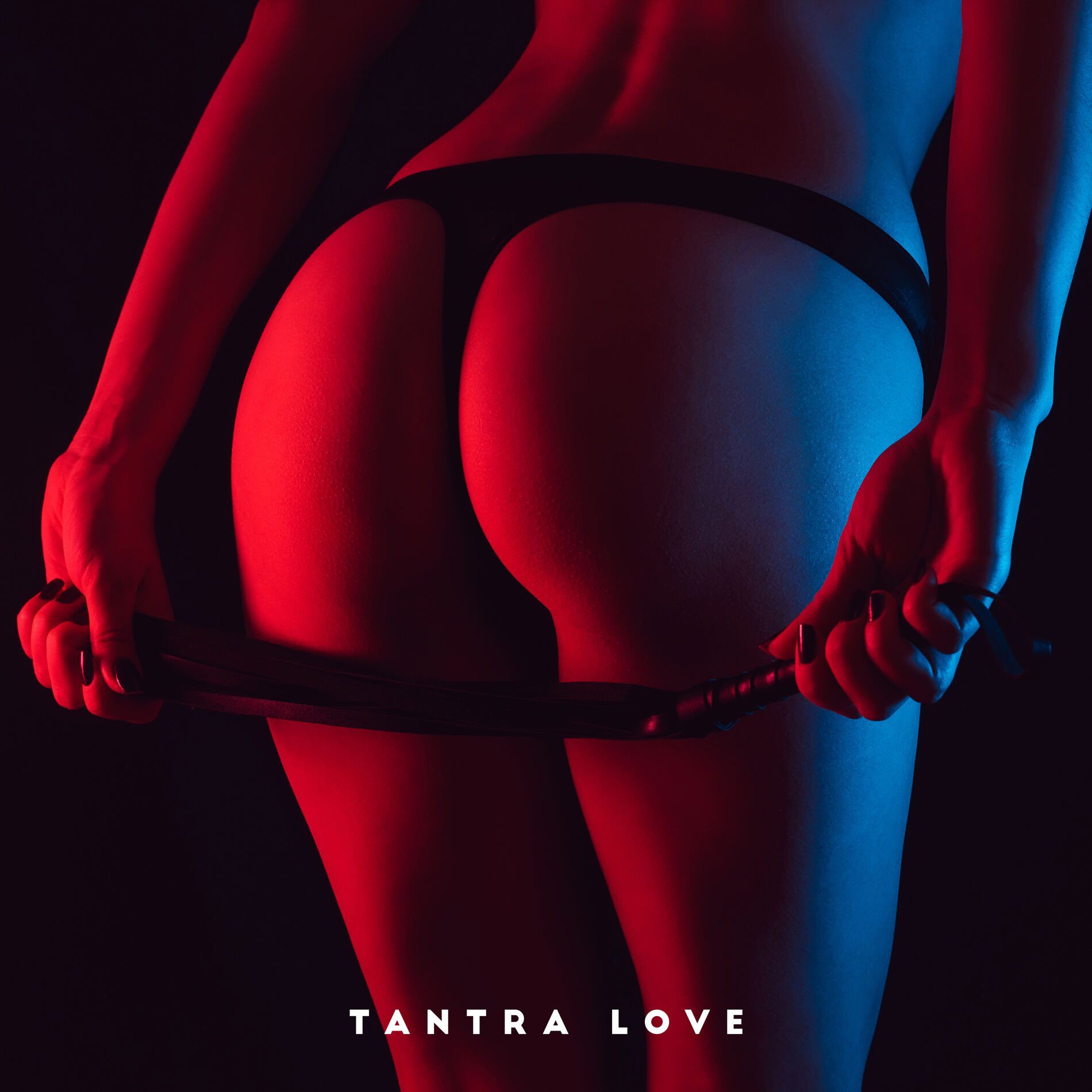 Album cover of Sexy Vibrations