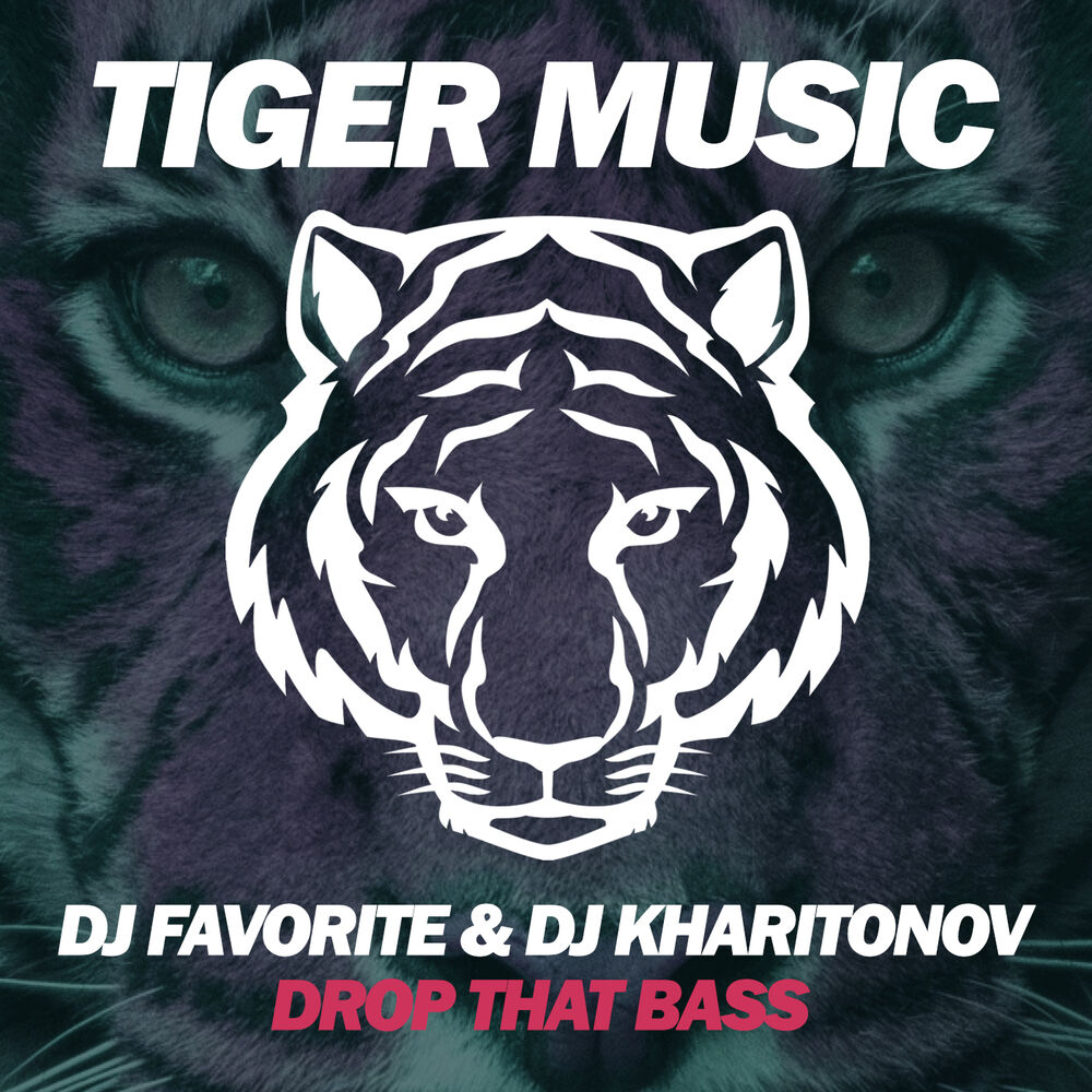 Picture of Drop That Bass