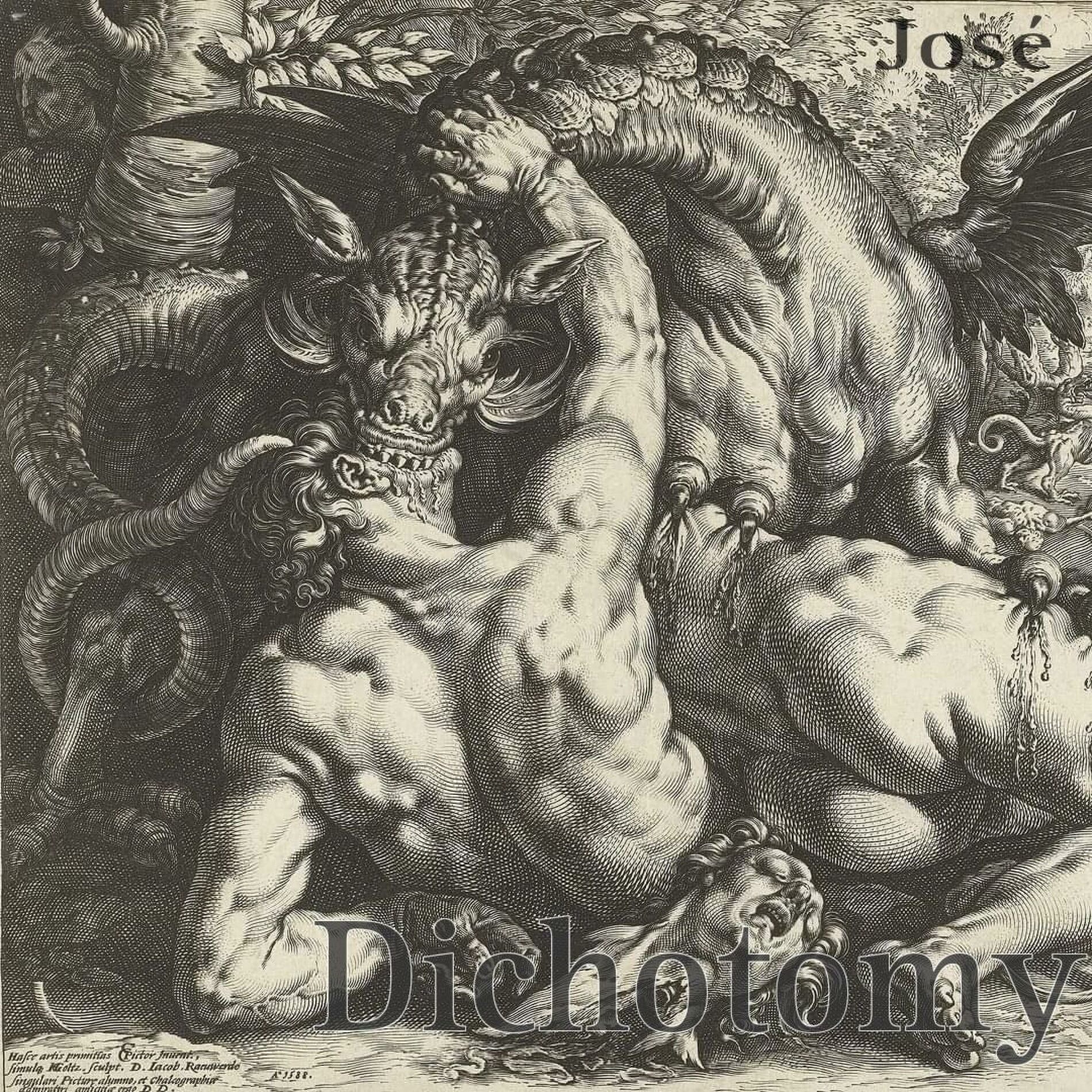 Album cover of DICHOTOMY