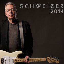 Cover of Schweizer 2014