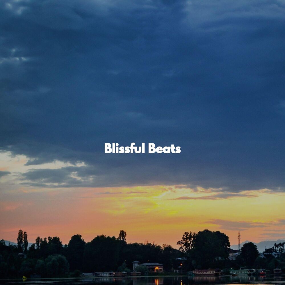 Picture of Blissful Beats