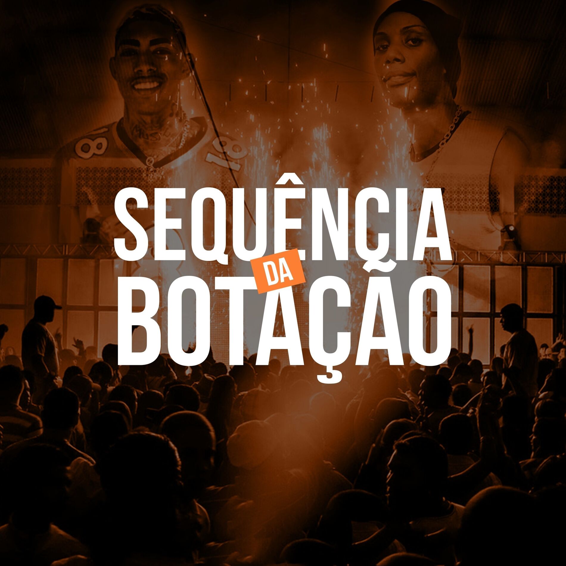 Album cover of Sequencia da Botação