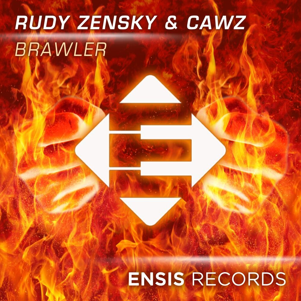 Picture of Brawler