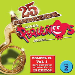 Cover of 25 Bandazos de Pequeños Musical (Vol. 2) (USA)