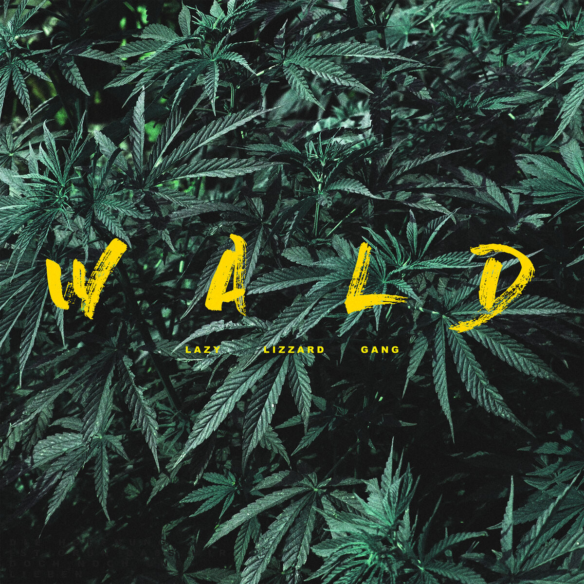 Album cover of Wald