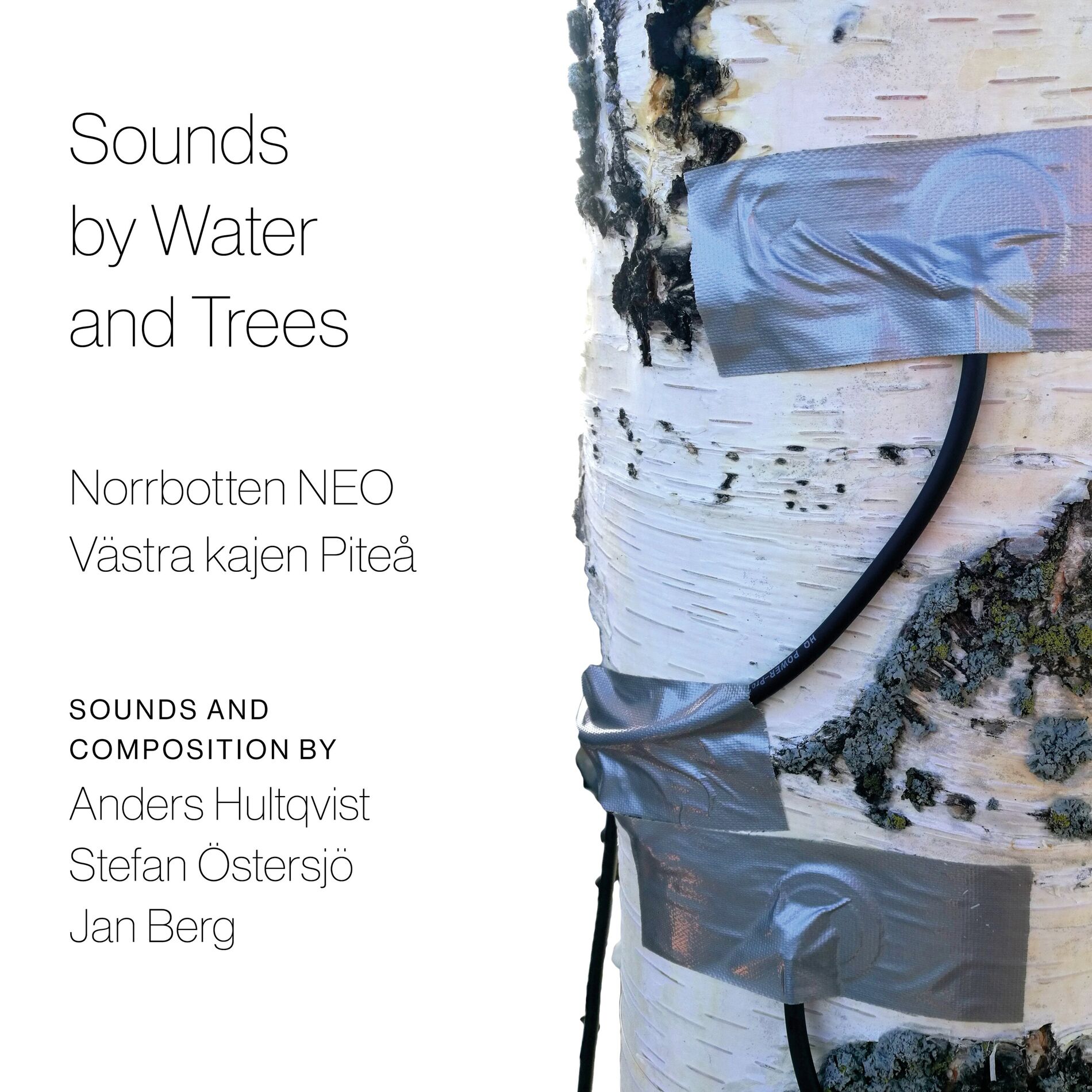 Album cover of Sounds By Water and Trees