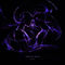 Feel So Good by Gabel album cover