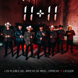 Cover of 11 + 11