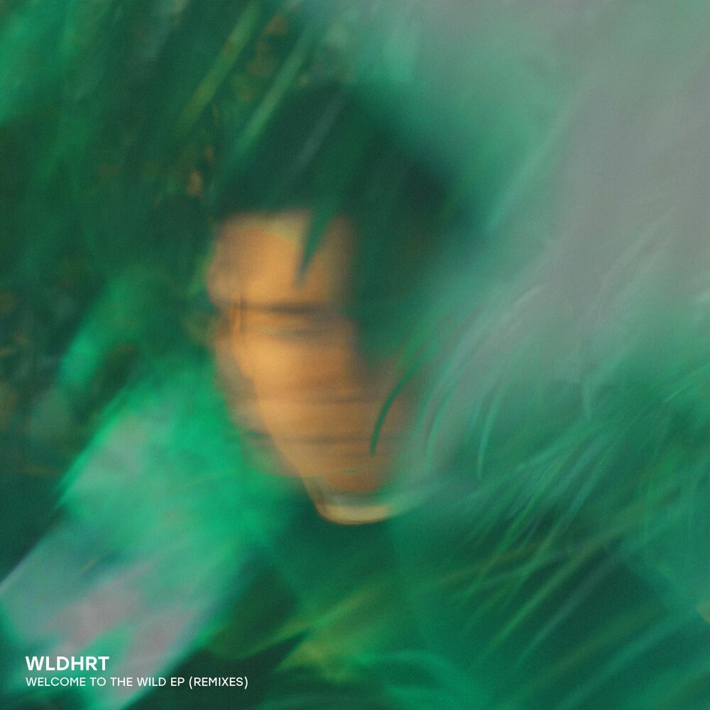 Picture of Welcome to the Wild EP (Remixes)