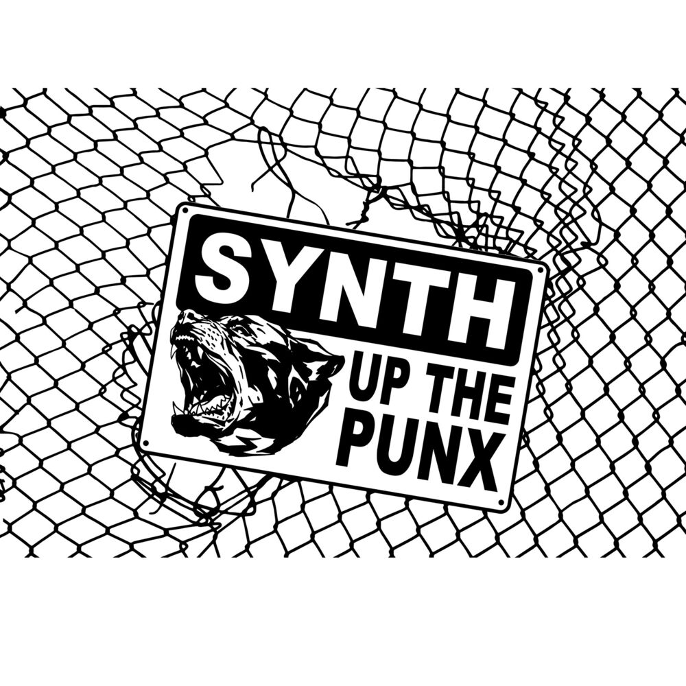 Picture of Synth up the Punx