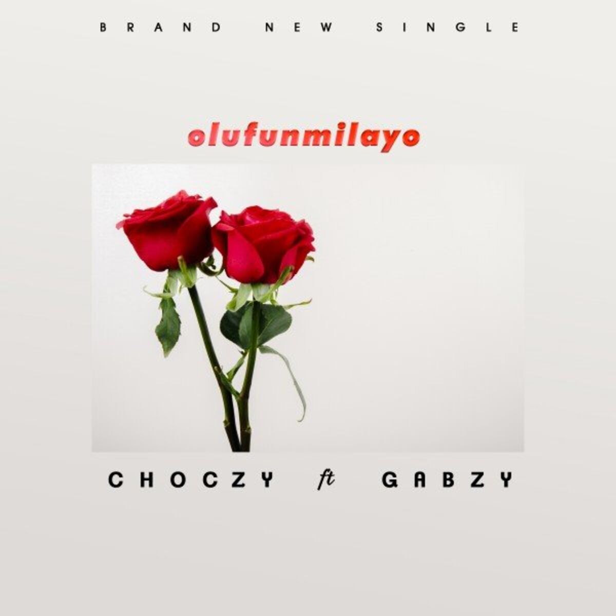 Album cover of Olufunmilayo