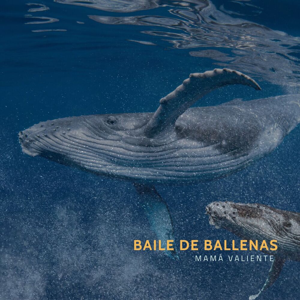 Picture of Baile de ballenas