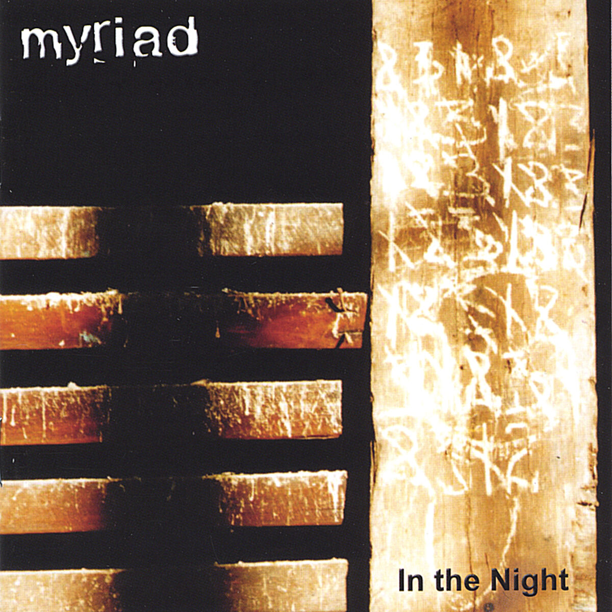Album cover of In the Night