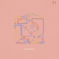 Cover of Accessory
