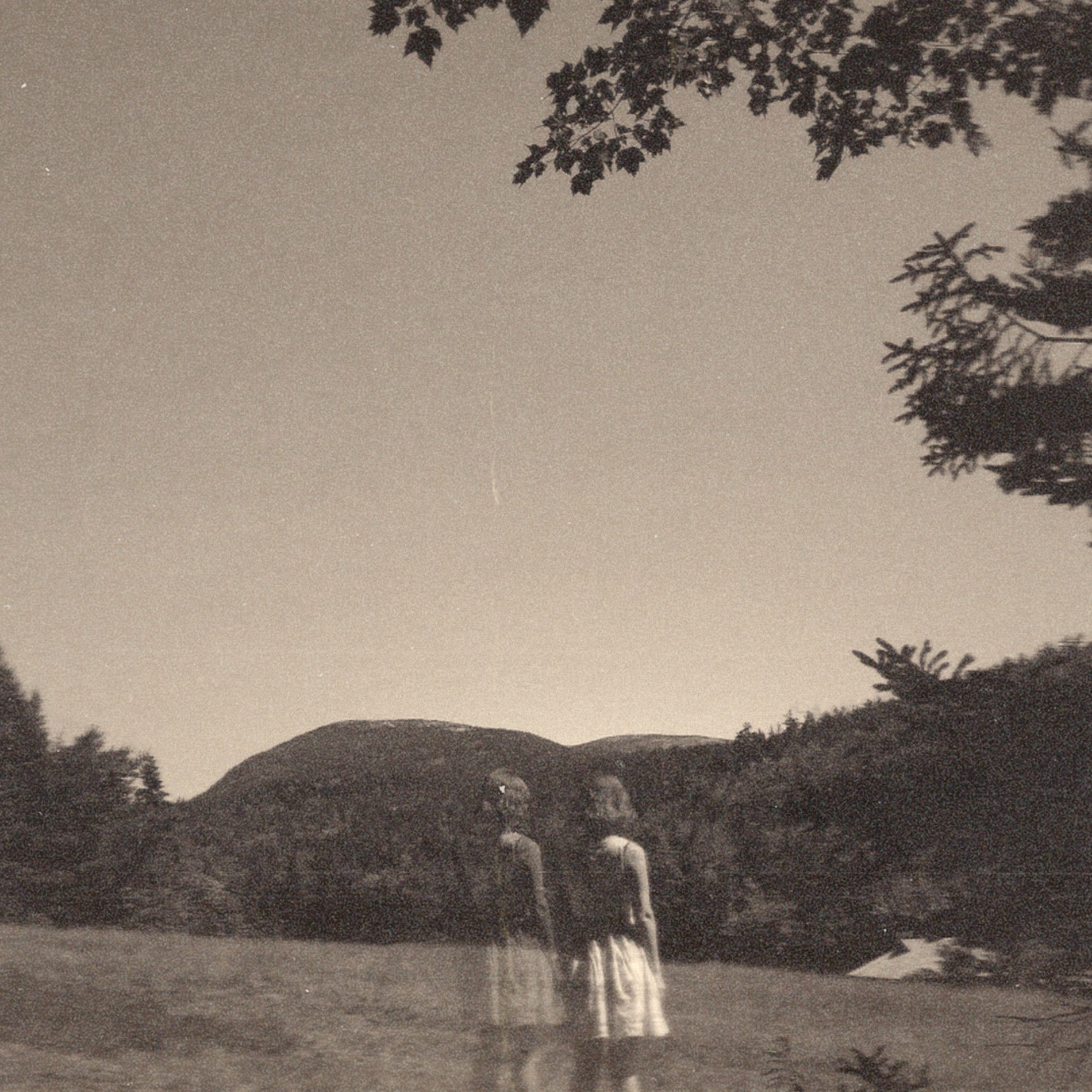 Album cover of The Malady Of Elegance