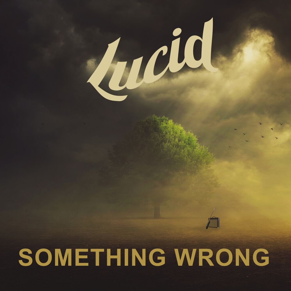 Picture of Something Wrong