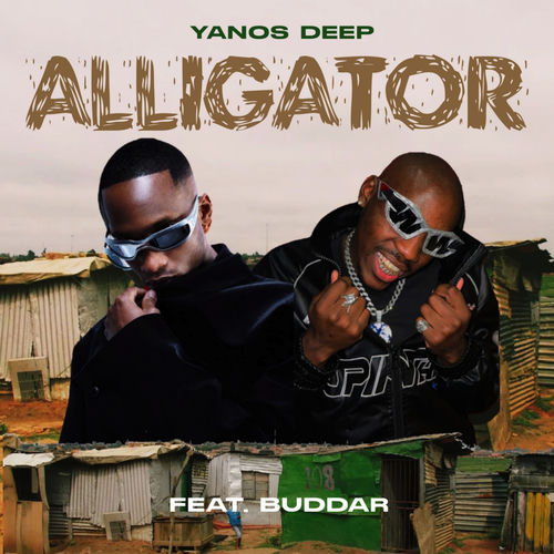 Alligator