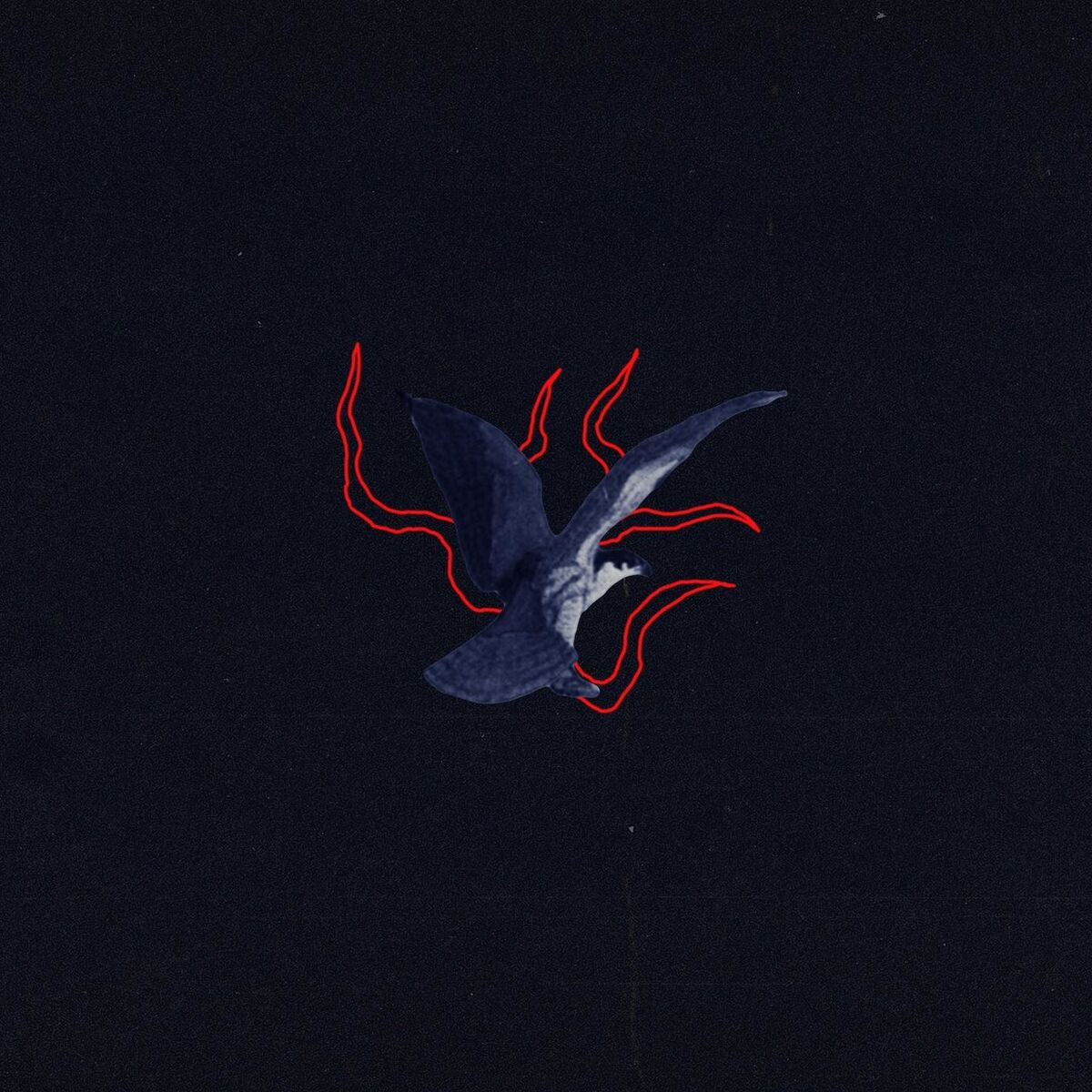 Album cover of Peter und Wolf