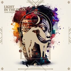 Cover of Light in the Dark