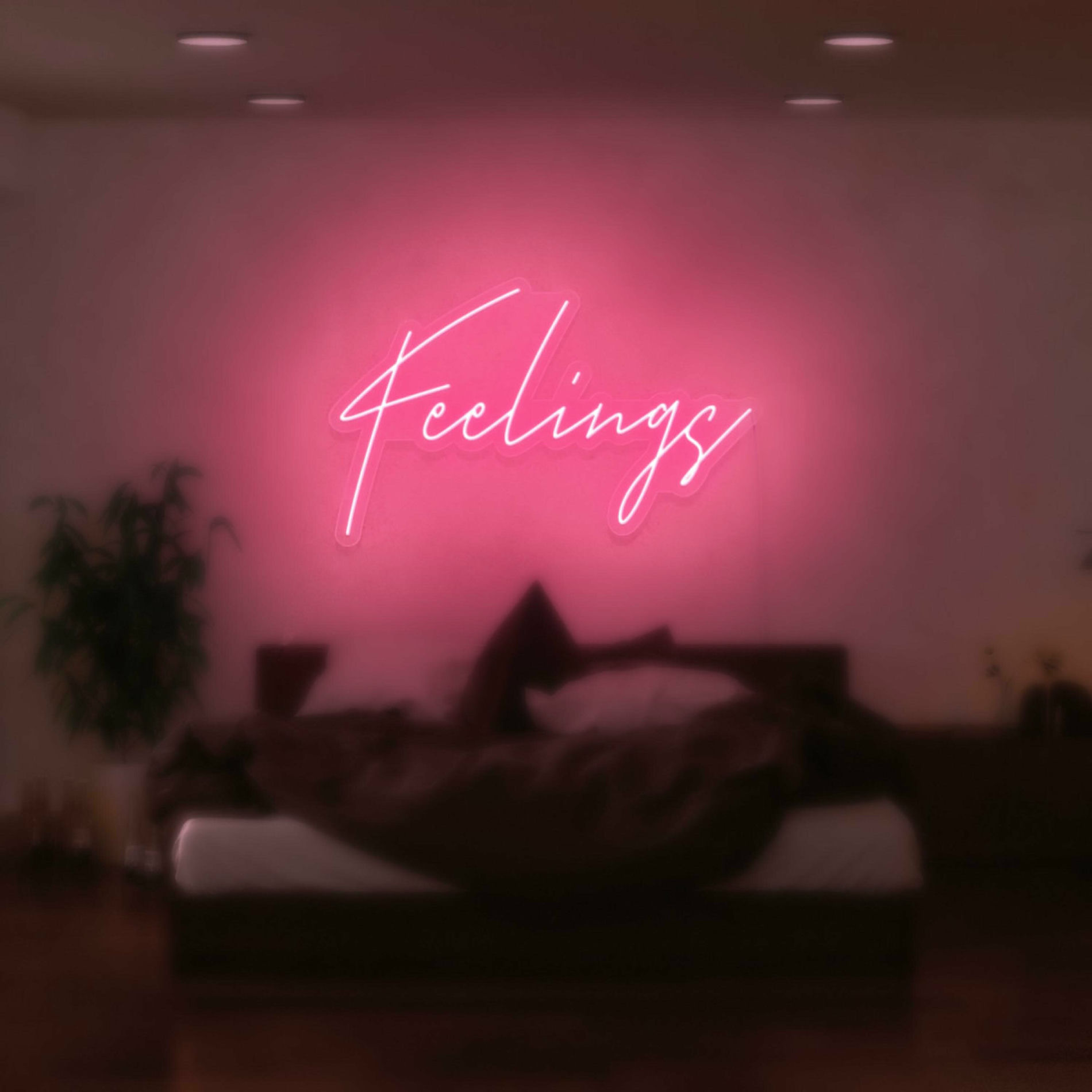 Album cover of Feelings