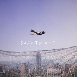 Cover of Safety Net