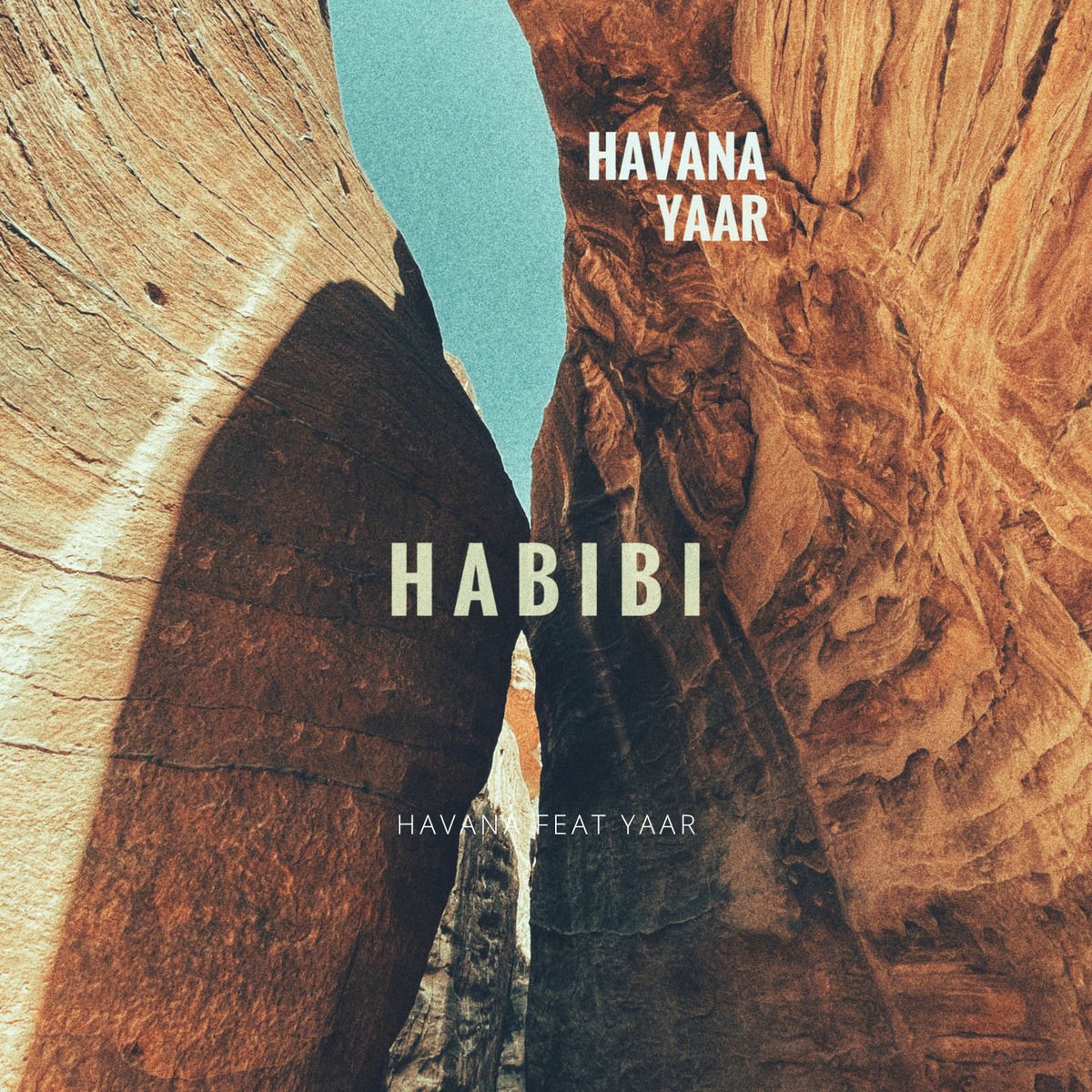 Album cover of Habibi