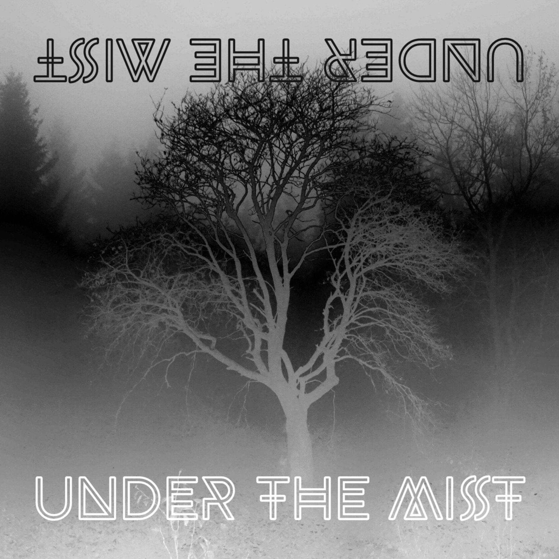 Album cover of UNDER THE MIST