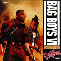 Cover of Bag Boys VI
