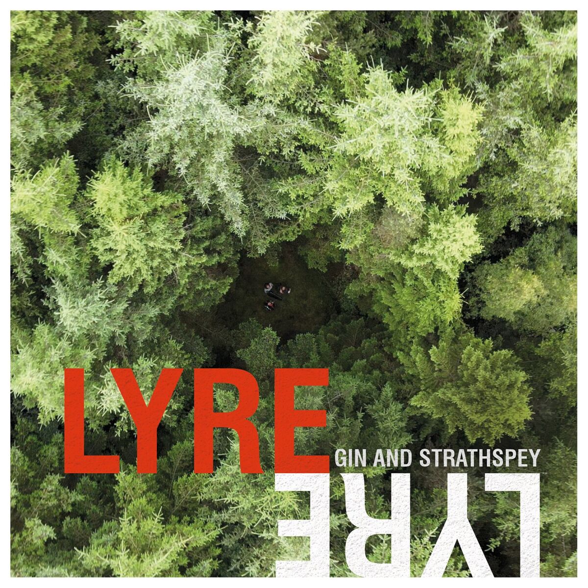 Album cover of Gin and Strathspey