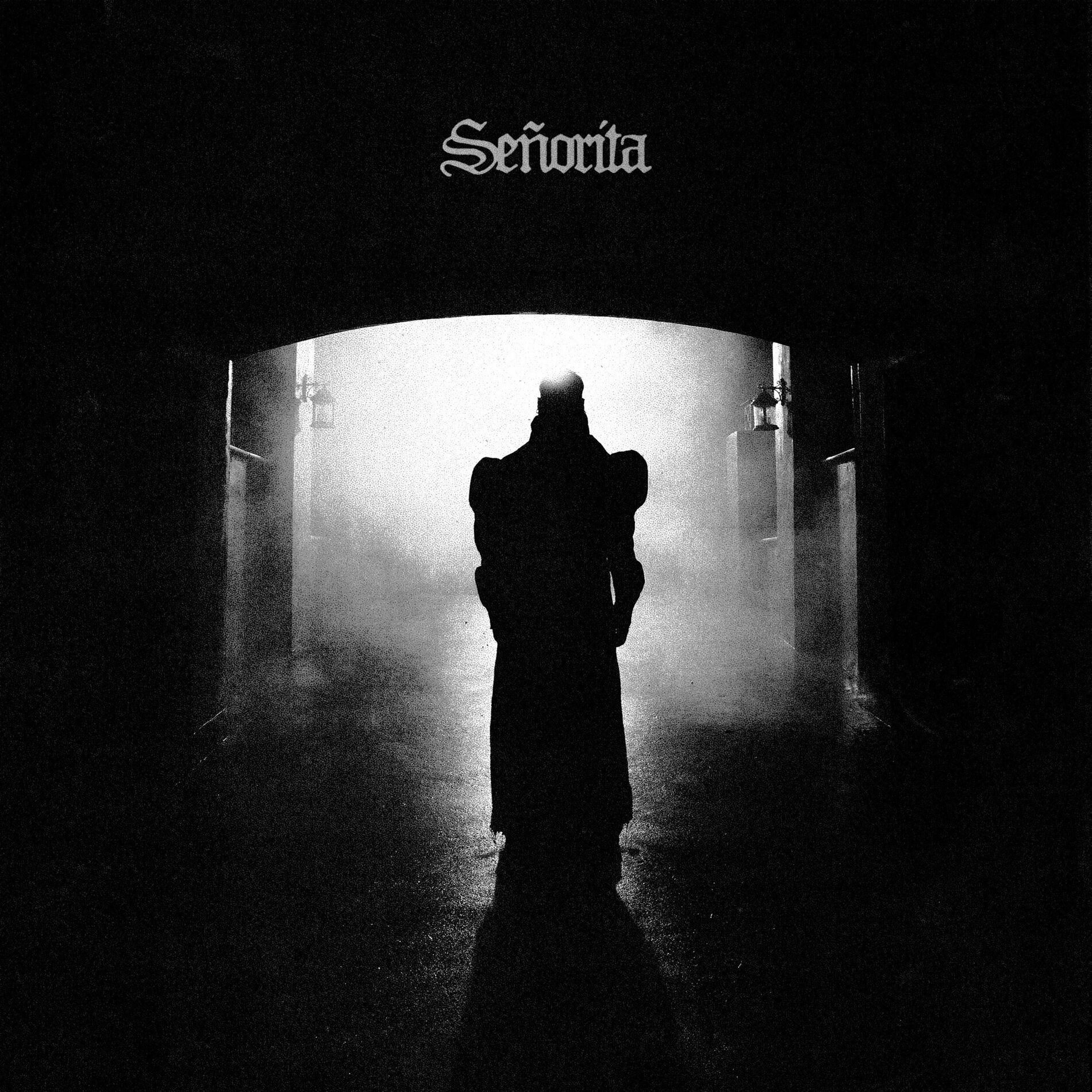 Album cover of Señorita