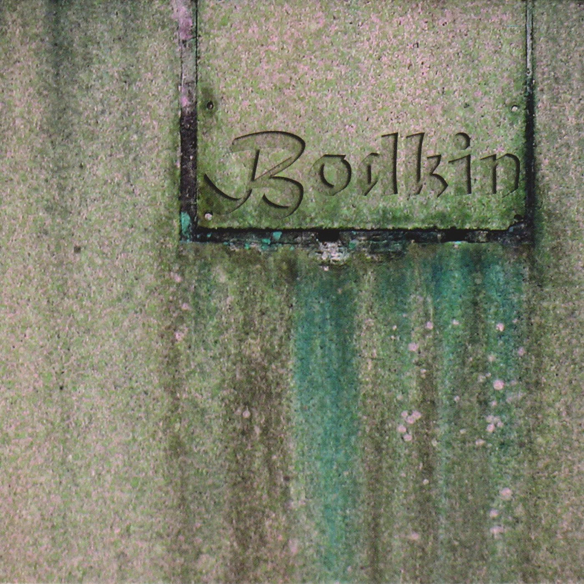 Album cover of Bodkin