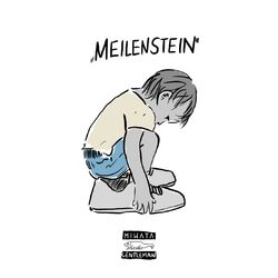 Cover of Meilenstein