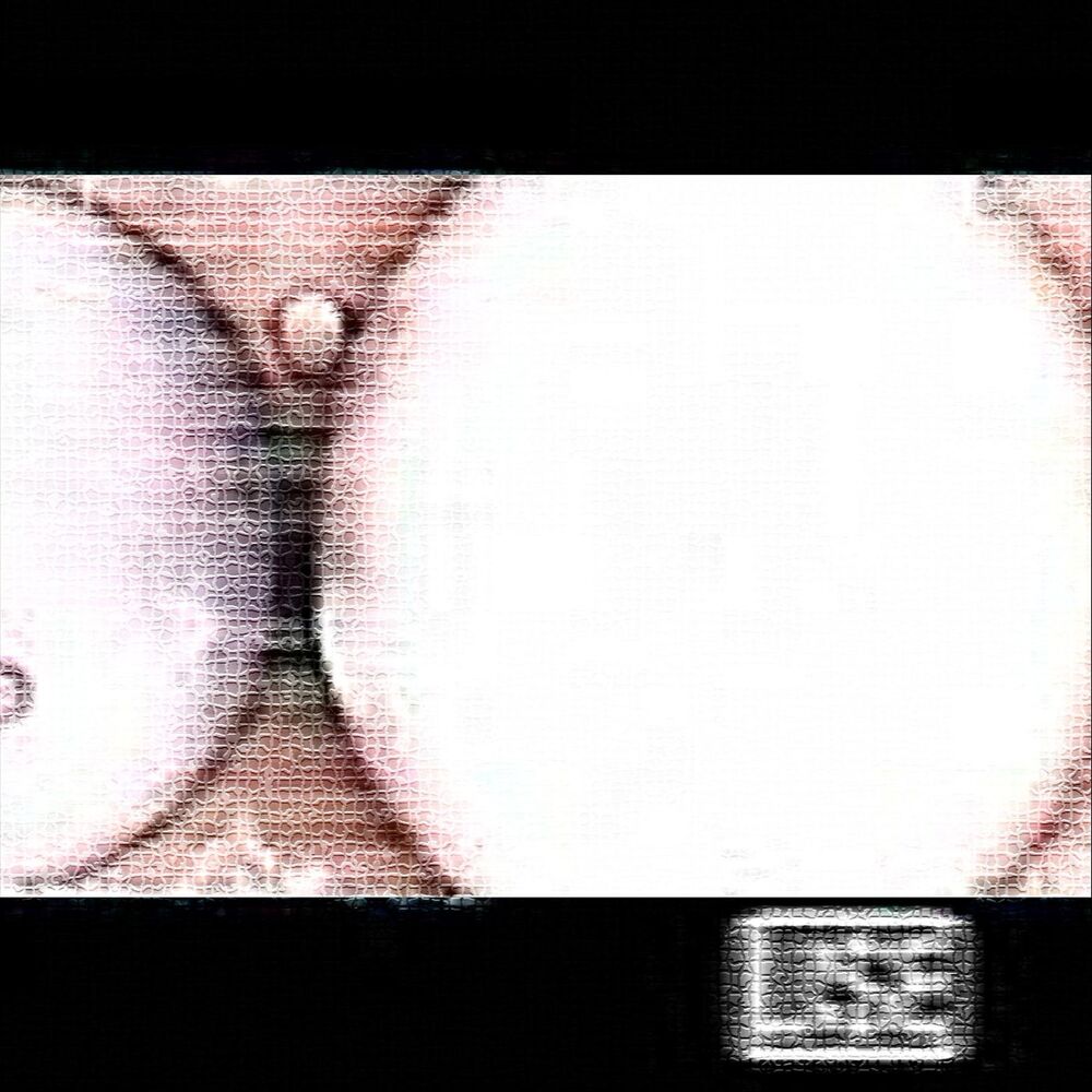 Picture of Bonnieclyde 2001