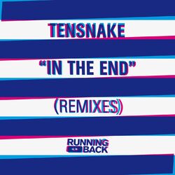 Cover of In The End (Remixes)