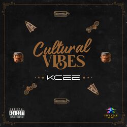 Cover of Cultural Vibes