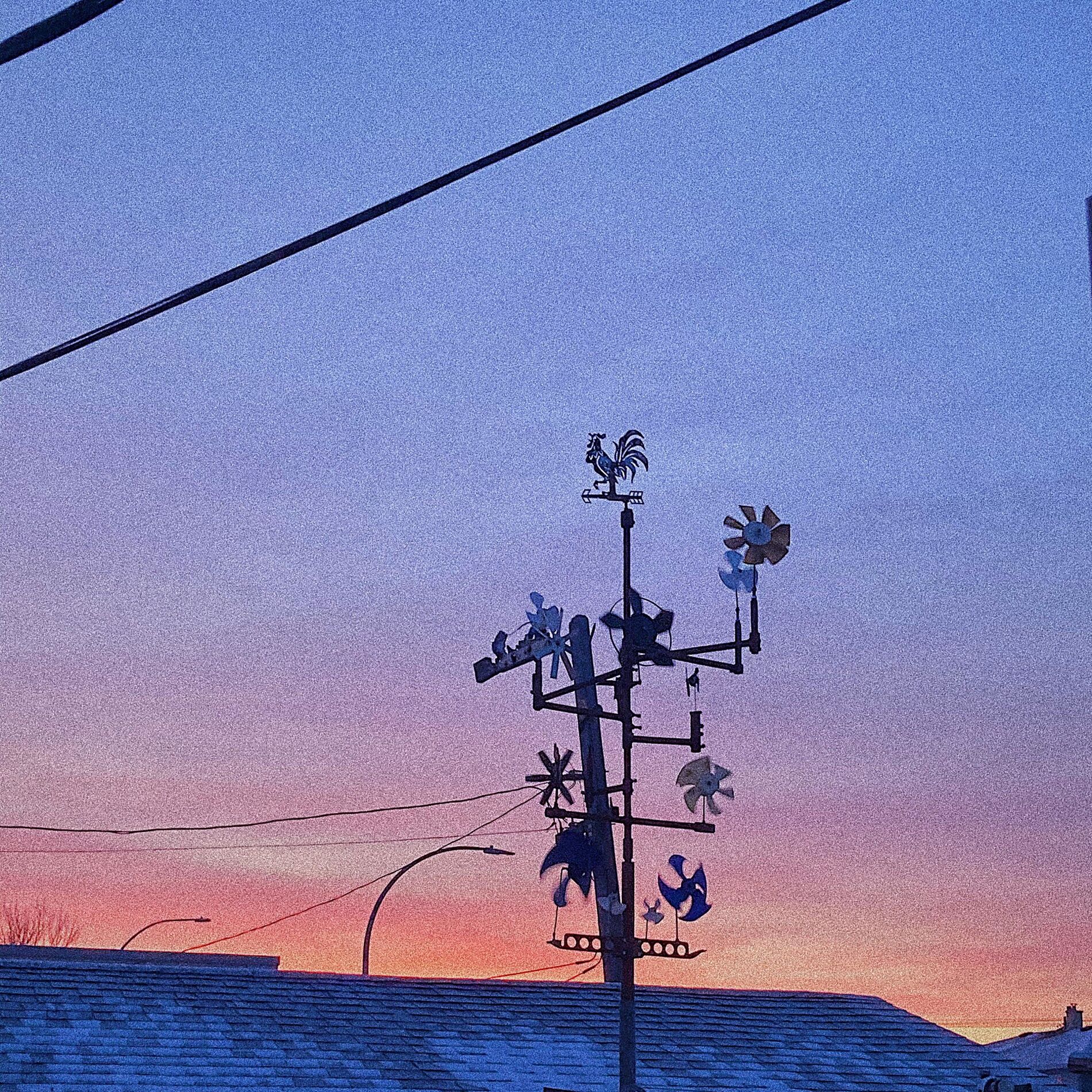 Album cover of Before Dawn