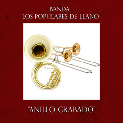 Cover of Anillo Grabado