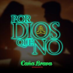 Cover of Por Dios Que No
