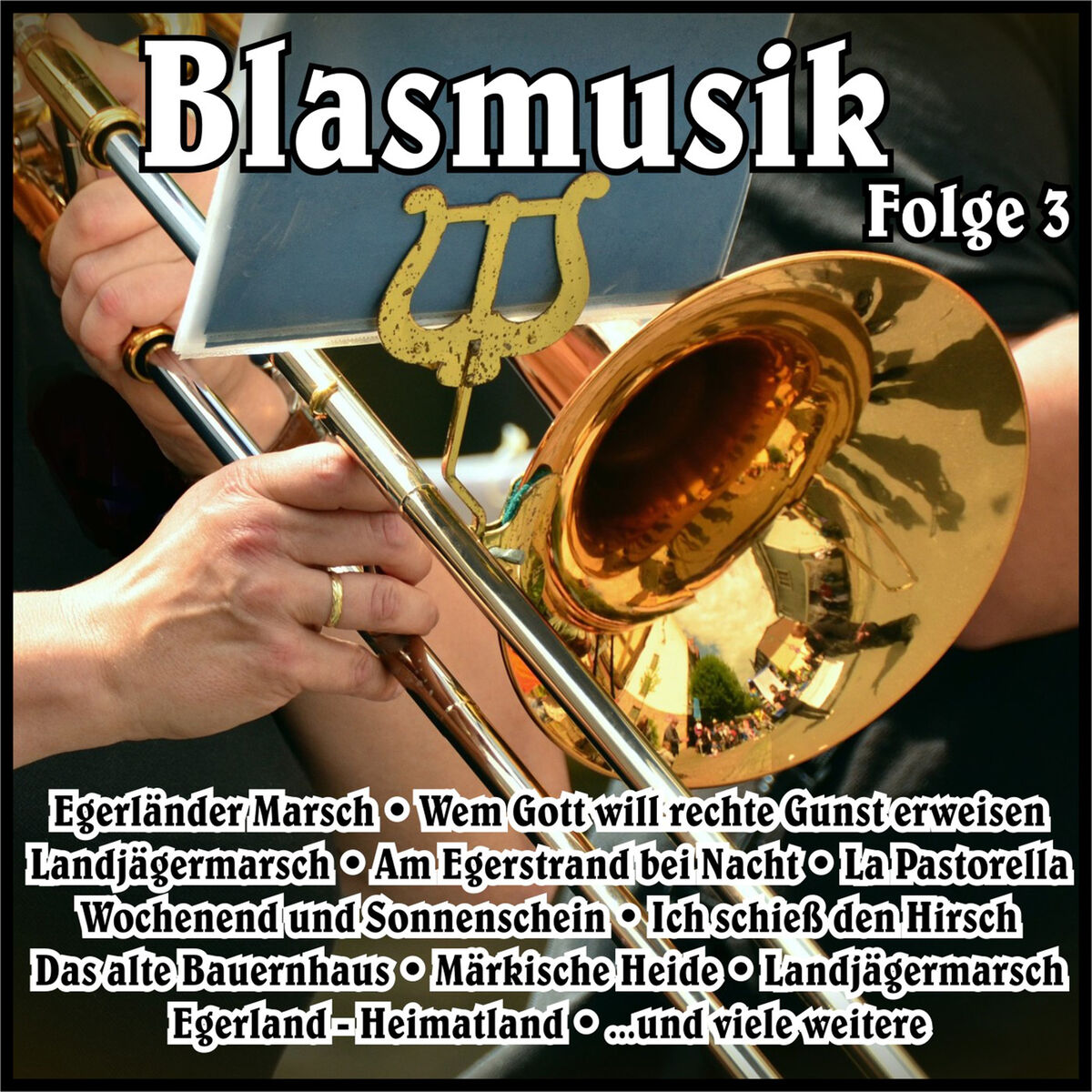 Album cover of Blasmusik, Vol. 3