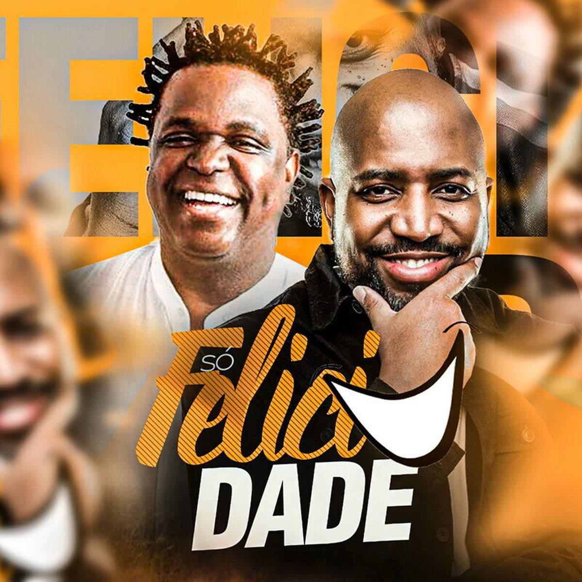 Album cover of Só Felicidade