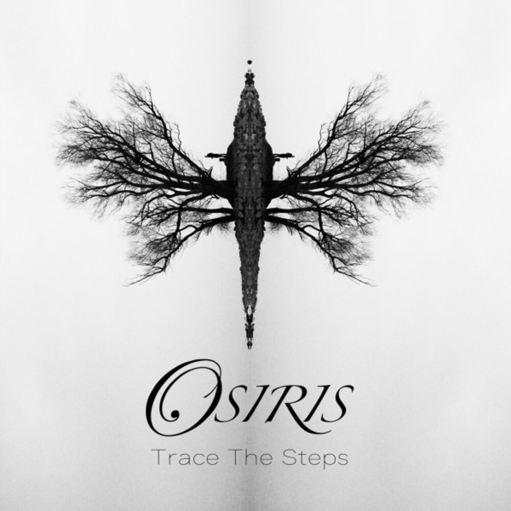 Picture of Trace the Steps