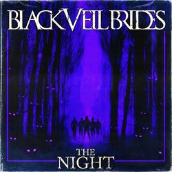Cover of The Night