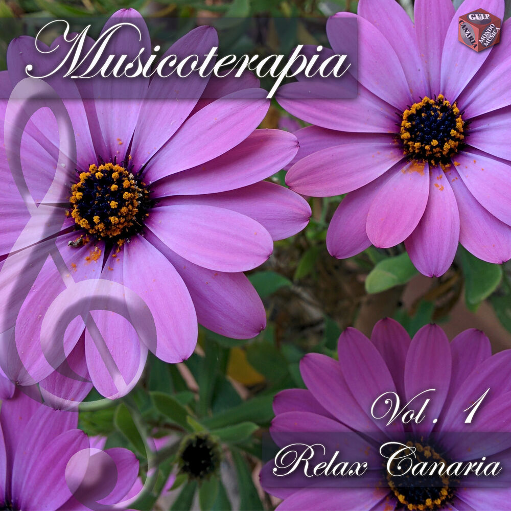 Picture of Musicoterapia, vol. 1