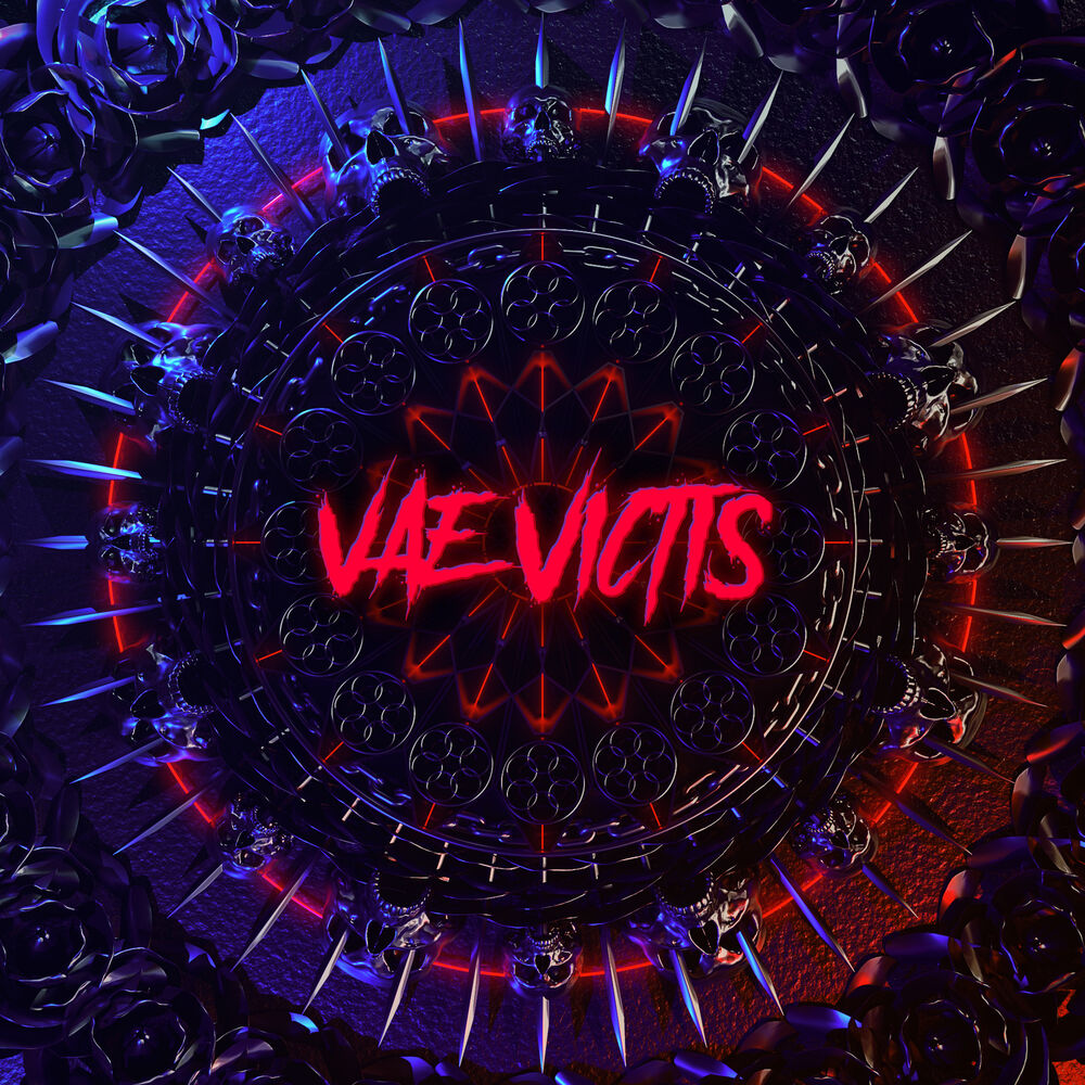 Picture of Vae Victis