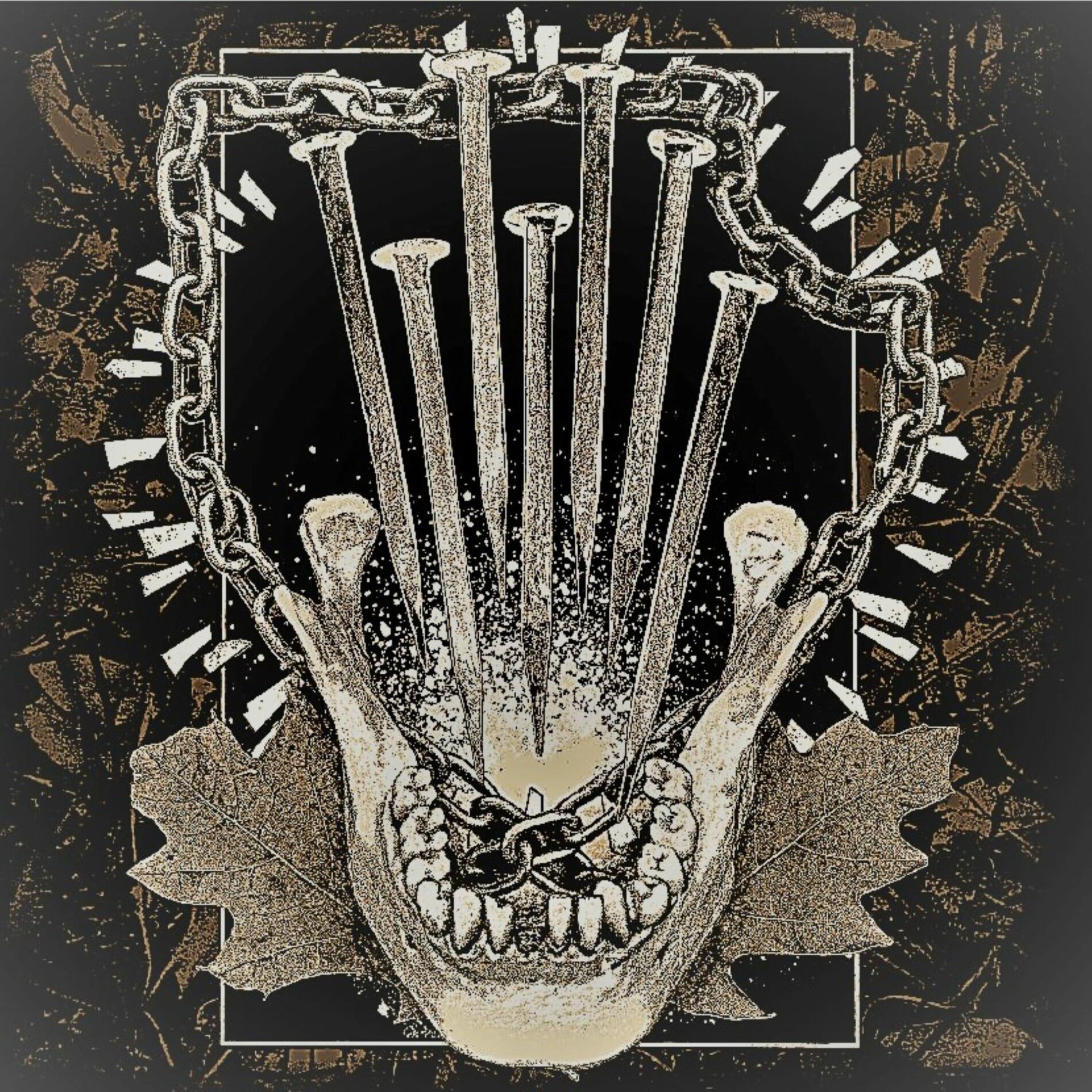 Album cover of Not Ever (Remastered)