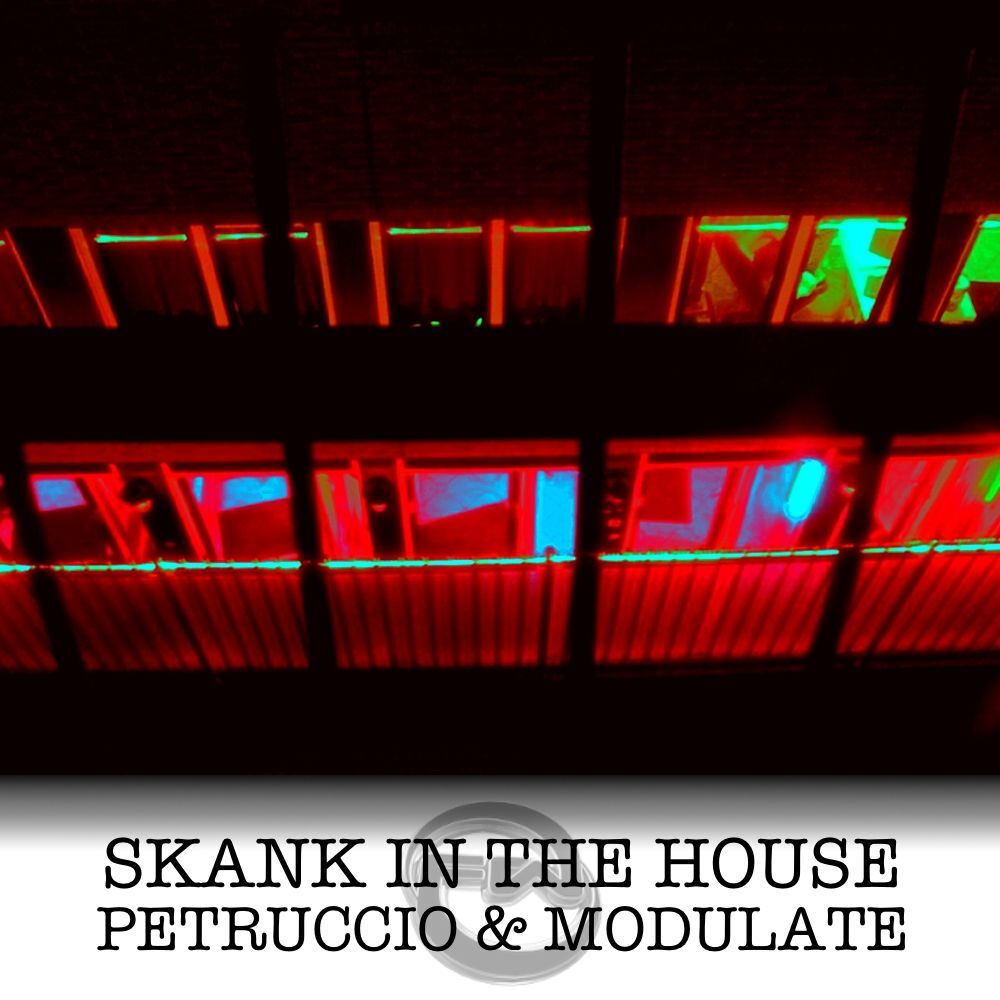Picture of Skank In The House