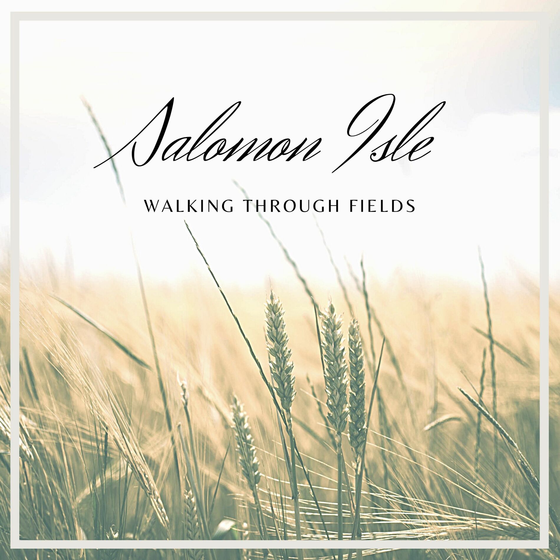 Album cover of Walking Through Fields