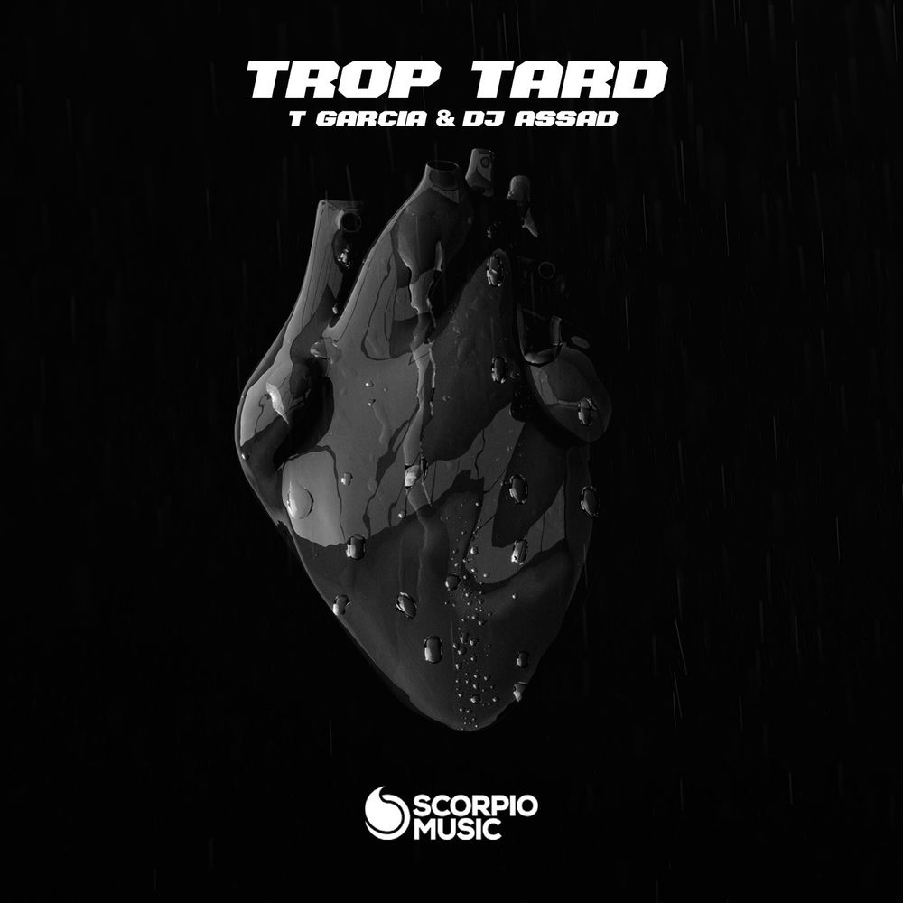 Album artwork for Trop tard by thibault