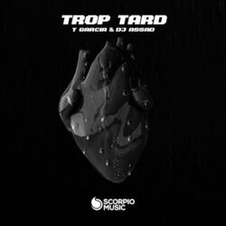 Cover of Trop Tard